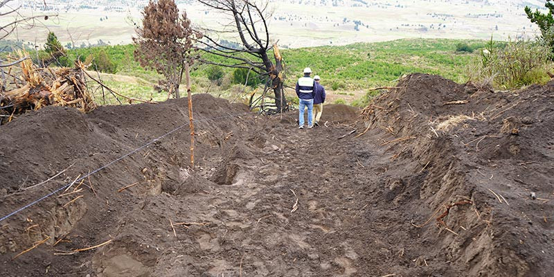 COCHA_LOMA_TOTORILLAS_PARA_WEB_2.jpg