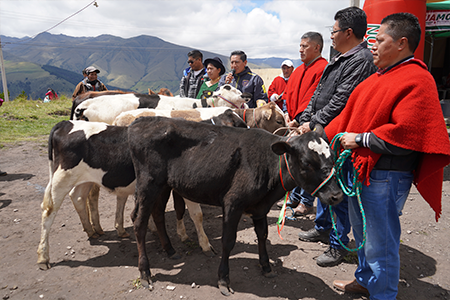 ENTREGA_DE_BOVINOS_EN_LA_COM._SAN_PABLO_DE_GUANTUG_5.png