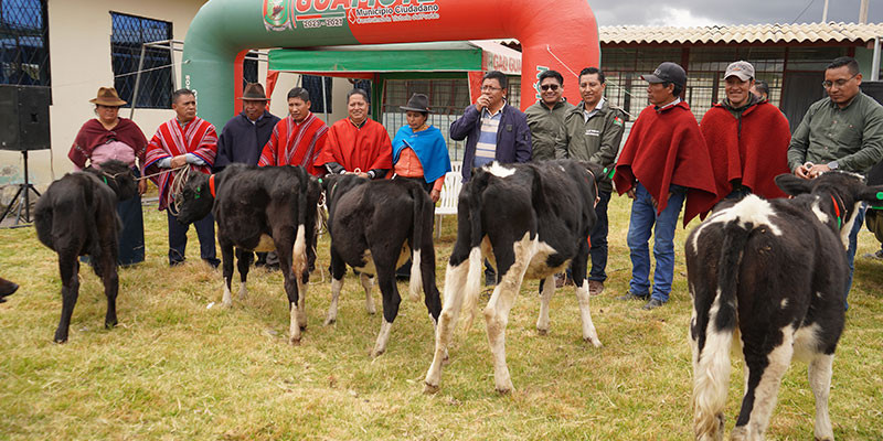 ENTREGA_DE_BOVINOS_SAN_ANTONIO_DE_CHACAZA_PARA_WEB_4.jpg
