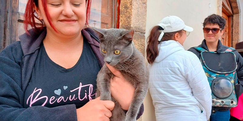 FTO-GATITO.jpg