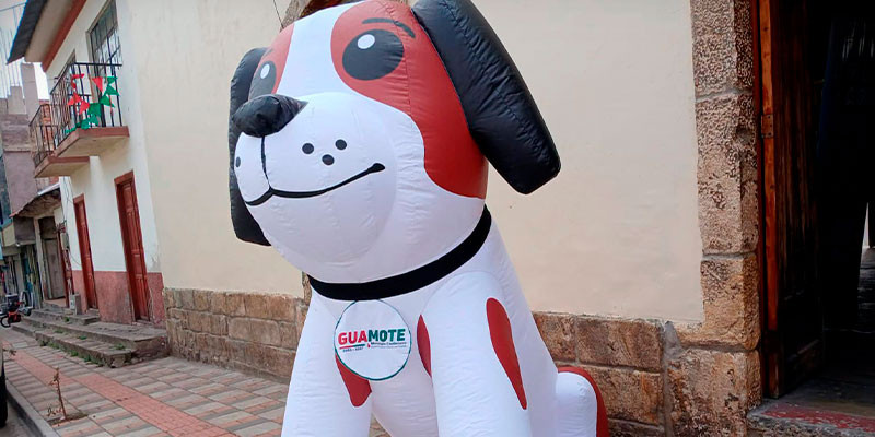 PERRITO-1.jpg