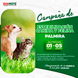 ESTERILIZACIÓN CANINA Y FELINA