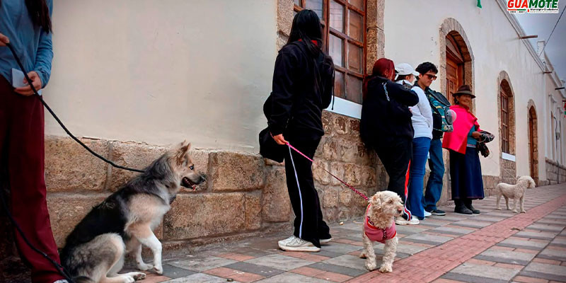 CAMPAÑA DE ESTERILIZACION CANINA Y FELINA 